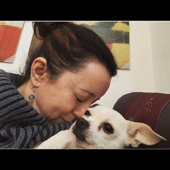 Allergy Alert! Chihuahuas in the house! 😊❤️🐶 - Picture 6 of 6